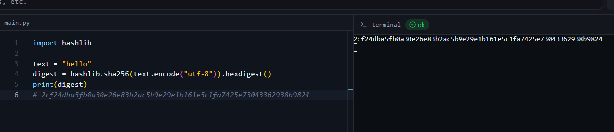 SHA-256 hash output in the Python online compiler
